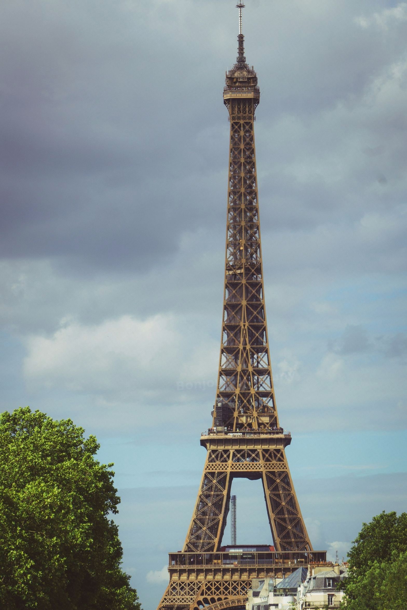 Bonjour Academy