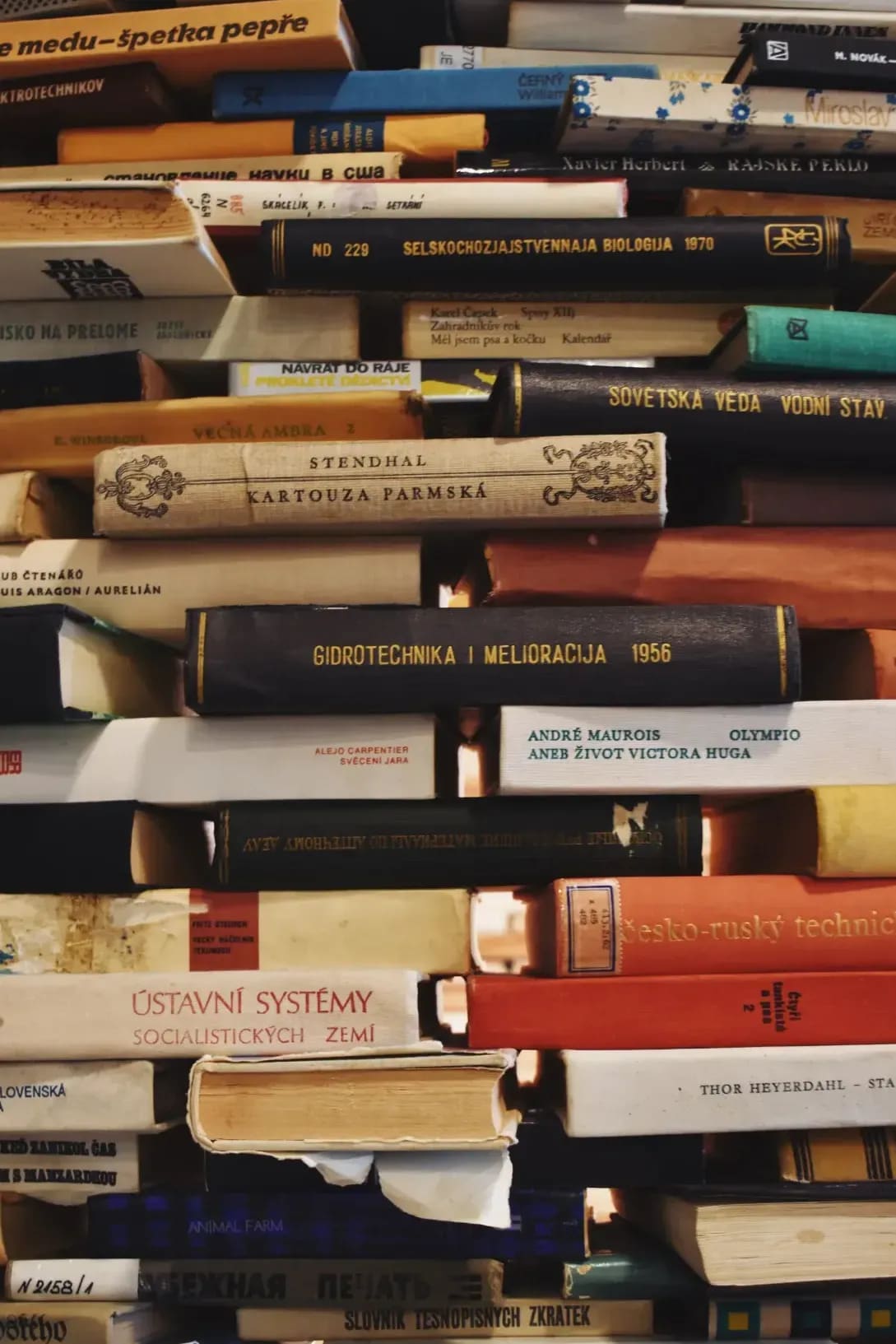 Corsi di francese per principianti, intermedi e avanzati